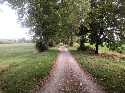 ChlopoRobotnik2137 - Przedwczorajszy dzień zacząłem taka trasa