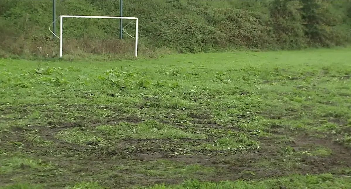 mirko_anonim - ✨️ Dlaczego Polska to kuźnia przepalania talentów? Ⓘ
O co chodzi z tym...