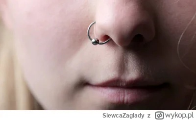 SiewcaZaglady - Czemu kobiety wkładają sobie kolczyki w nos, przecież to tak je oszpe...
