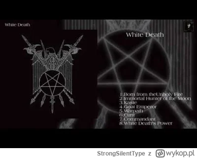 StrongSilentType - (ⴲ﹏ⴲ)/
#blackmetal #przemijajzblackmetalem