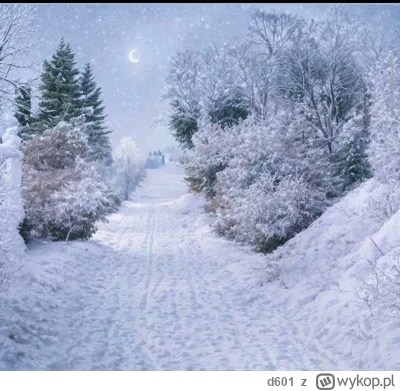 d601 - Ale zasypało. Okolice Wadowic 
#zima #pogoda #malopolska 
Podobno ma jeszcze p...