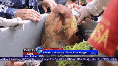 mirusmireczek - #wislakrakow #mecz #pilkanozna #iligastylzycia
Kiedy musisz czekać 5 ...