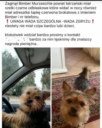 Reea - #memy #heheszki #fredikamionka #humorobrazkowy