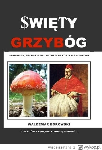 wiecejszatana - Grzybóg