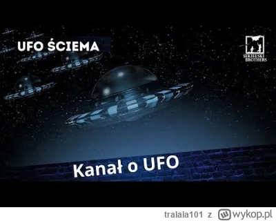 tralala101 - #bernatowicz Od 31:19, wyjaśnianie Roberta