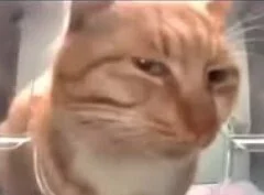 czillaut - #kryptowaluty ziemniak longuje