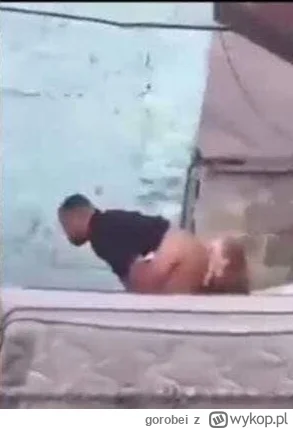 gorobei - @AndrzejBabinicz: