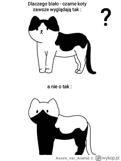 AssirevarAnahid - @Imitacja_czlowieka