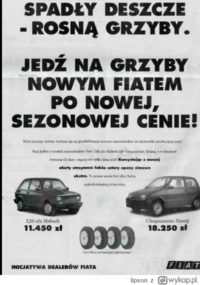 lipson - #grzyby #motoryzacja