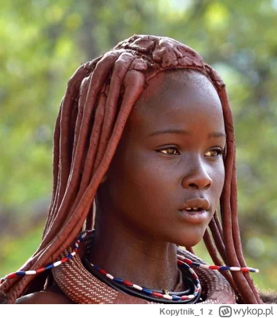 Kopytnik1 - @Kopytnik1: Kobiety z plemienia Himba są moim zdaniem ładne. A jakie zdro...