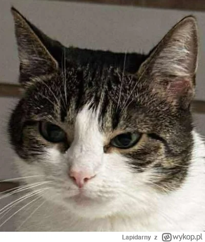 Lapidarny - @Solsith: