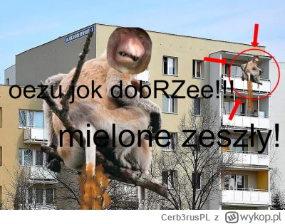 Cerb3rusPL - #konkursnanajbardziejgownianymemznosaczem