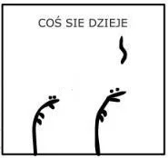 Reichsmarschall - #wroclaw