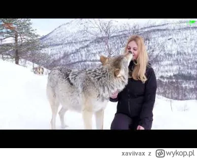 xaviivax - >wilk zawsze będzie dziki

No chyba, że spotka ładną panią. ( ͡° ͜ʖ ͡°)