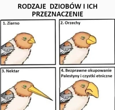 Zapaczony - #heheszki #zwierzaczki