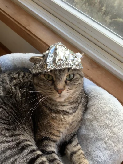 dywergent - nawet jakbym teraz wam powiedzial prawde to i tak byscie w nia nie uwierz...