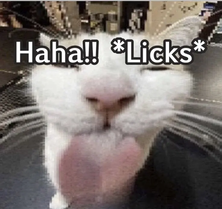 RitmoXL - @wybryk_natury: Przeciętny Mirek z wykopu kiedy zobaczy ładną dziewczynę ( ...