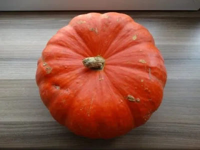 kolejnejuzkonto - @elsajko: https://youtu.be/pcpP9DCMRMo