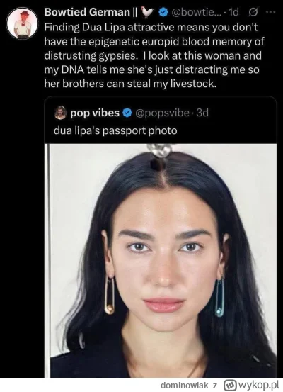 dominowiak - #heheszki w sumie to chyba rasizm, c'nie? W każdym razie - info dla mode...