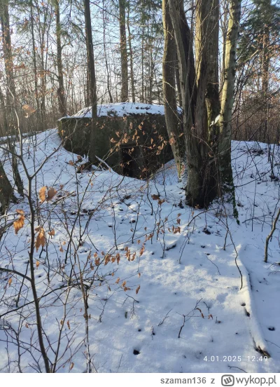 szaman136 - #bunkier