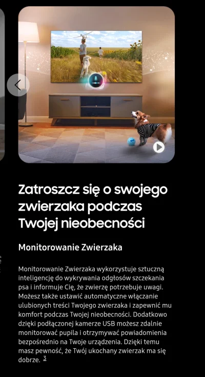mk321 - #psiarze #samsung #psy #heheszki #telewizory #ai #humorobrazkowy 

Telewizor ...