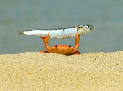 dywergent - dzisiaj nic nie zrobilem caly dzien