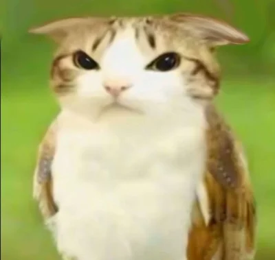 dywergent - ja bym mogl zdradzac tajemnice zycia ale to wszystkich zawsze doprowadza ...