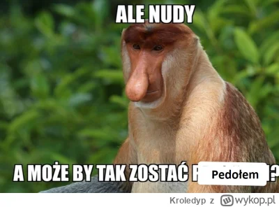 Kroledyp - #konkursnanajbardziejgownianymemznosaczem