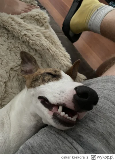 oskar-krekora - @Auth xD