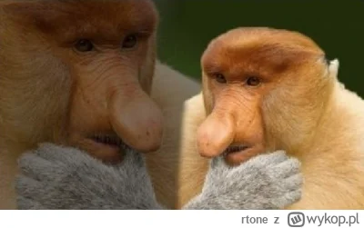 rtone - #konkursnanajbardziejgownianymemznosaczem