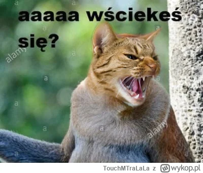 TouchMTraLaLa - @Solsith: ( ͡° ͜ʖ ͡°)