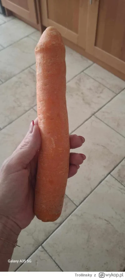 Trollinsky - #kiciochpyta 
#jedzzwykopem Jakieś pomysły co można z tego upichcić?