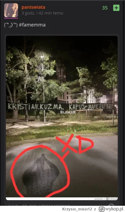 Krzysio_misio12 - Śmiejecie się że zamiękki jest tak głupi, że widać że to on robił t...