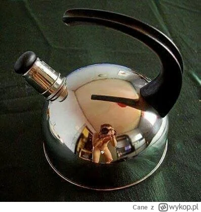 Cane - @Teuvo #czajniczek #pdk ( ͡° ͜ʖ ͡°)