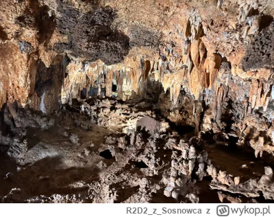 R2D2zSosnowca - @R2D2zSosnowca ᶘᵒᴥᵒᶅ