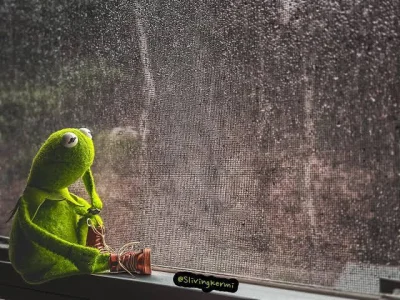 Itslilianka - Zrobię sobie zaraz dyniowe late i będę siedział cały dzień w oknie patr...