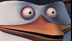 Ferdynand_Lipski - @plusbear: