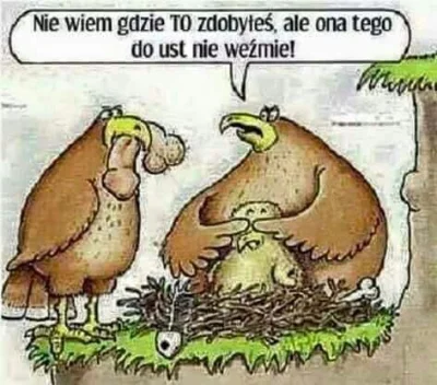wfyokyga - Humor
#humor #grazynacore