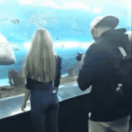 wfyokyga - Idiokracja