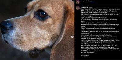 Beniorek - Cała ta platforma to zesryw idiocenie i wyrzyk werbalny nie czytacie uważn...