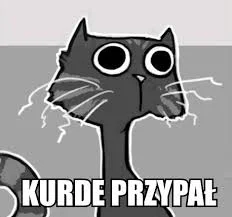 hot_tomek - >ma was

@ForestDruid: to Ciebie nie? ( ͡° ͜ʖ ͡°)

@BasTajpan: