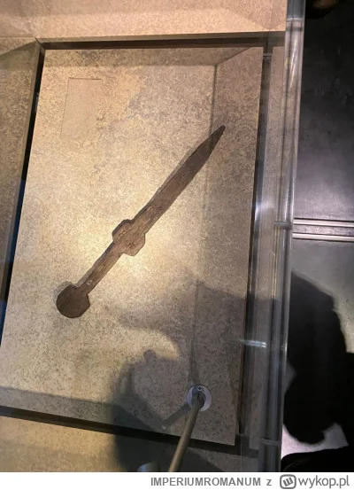IMPERIUMROMANUM - Drewniany miecz zabawka

Odkryty miecz, wykonany z drewna, który za...