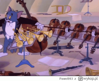 Pawel993 - #koncertnoworoczny szybka polka