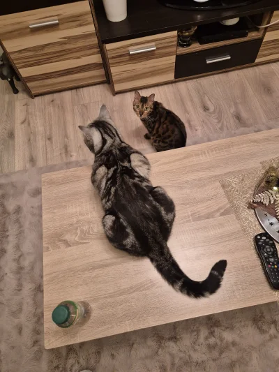 Lujdziarski - @Lujdziarski: @wykop Dałna macie? że zdjęcie z apki wygląda jak robione...