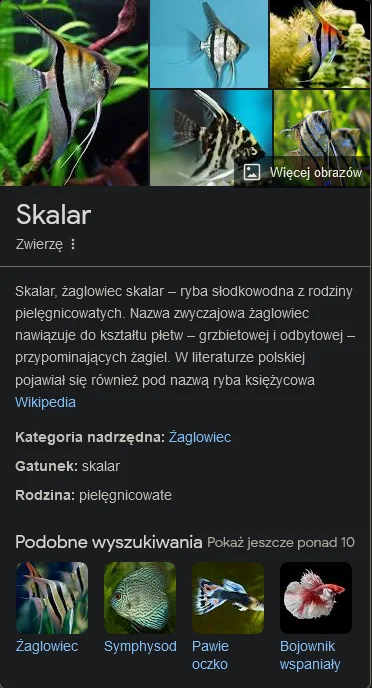 tryta - @raymond-placek: to chyba jakiś daleki kuzyn na zdjeciu ( ͡° ͜ʖ ͡°)