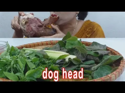 vandhorn - ( ͡° ͜ʖ ͡°) Dog hate thread
#dogpill #zwierzeta #jedzenie #psy