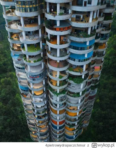 4pietrowydrapaczchmur - Hodowla Chińczyka wysokościowego.
Jak widać mają tam jakiś ma...