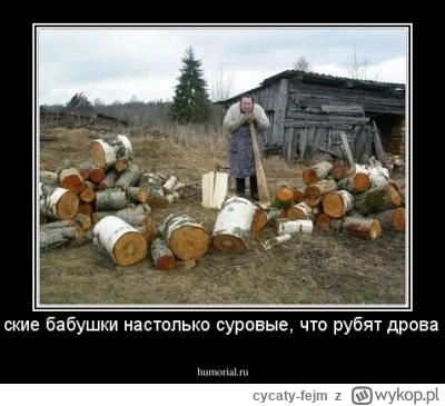 cycaty-fejm - Cześć ruskie. Sankcje nie działają, popatrzcie u nas, tak samo hehehehe...