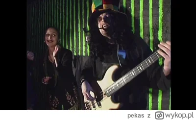 pekas - #muzyka #polskamuzyka #rock #reggae #kury
W Babilonie zdrada, każą nosić jaja...