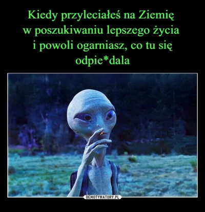 WstretnyOwsik - @logBa: A dziwisz się?